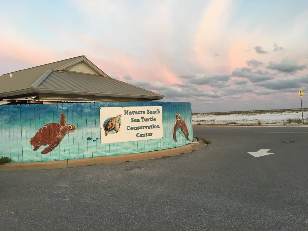 Educational Presentations