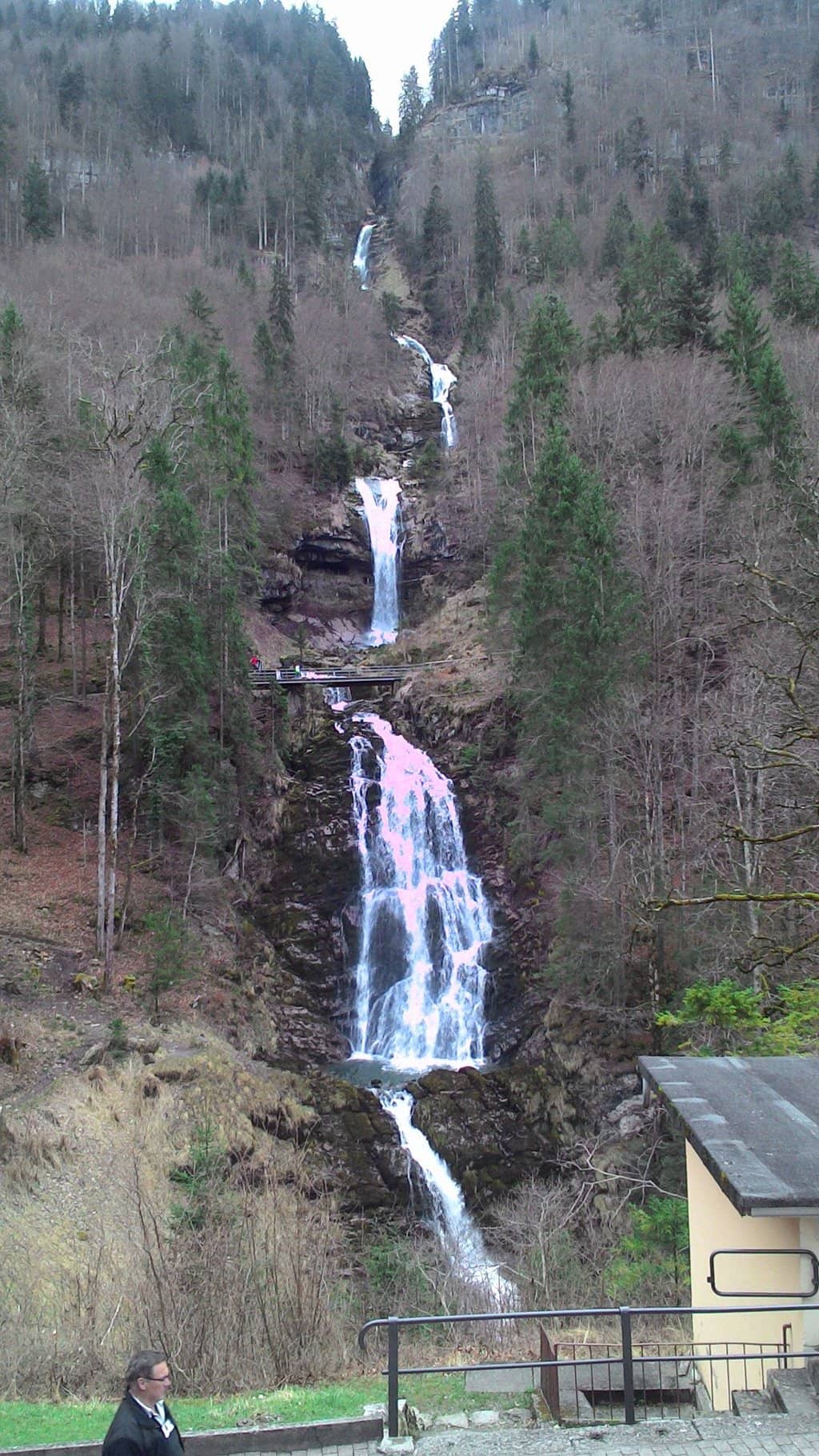 Vertical photo