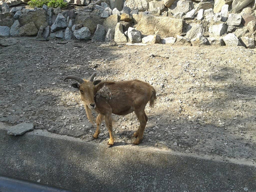 Diverse Botanical Collection