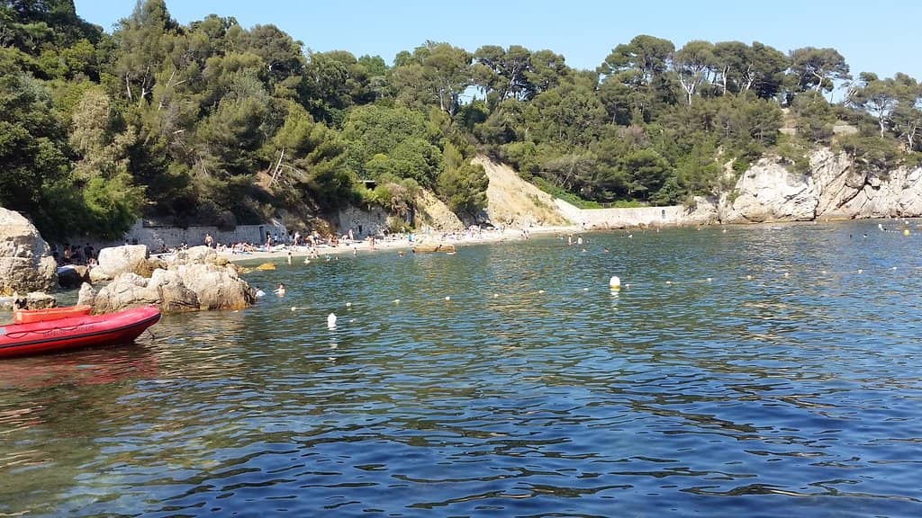 Cliff Jumping Spot