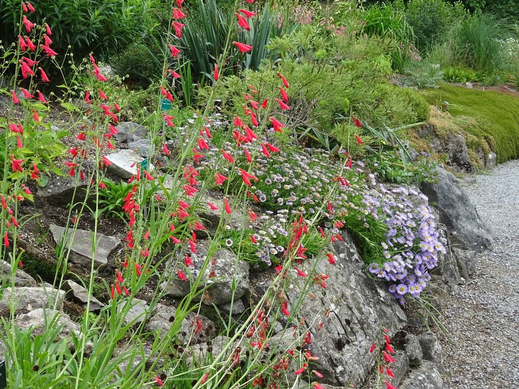 Thematic Gardens