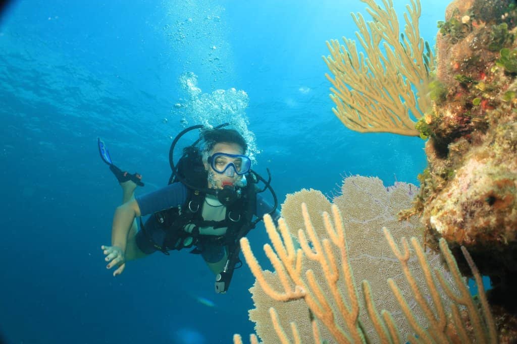 Vibrant Coral Reefs