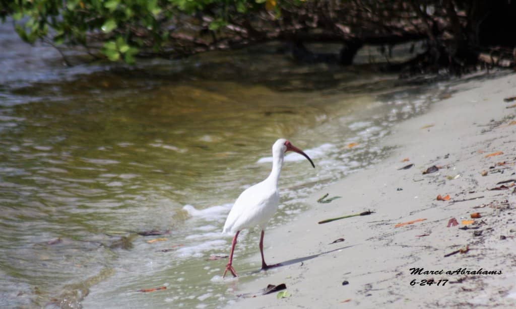Scenic Waterfront Views