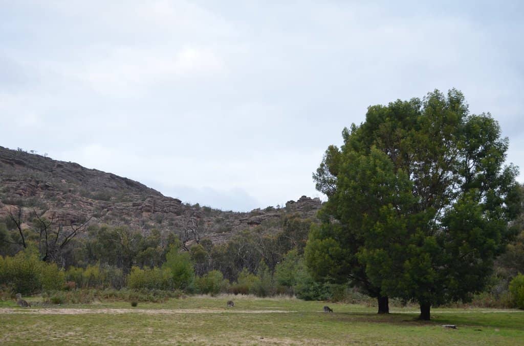 Trackside Boulders