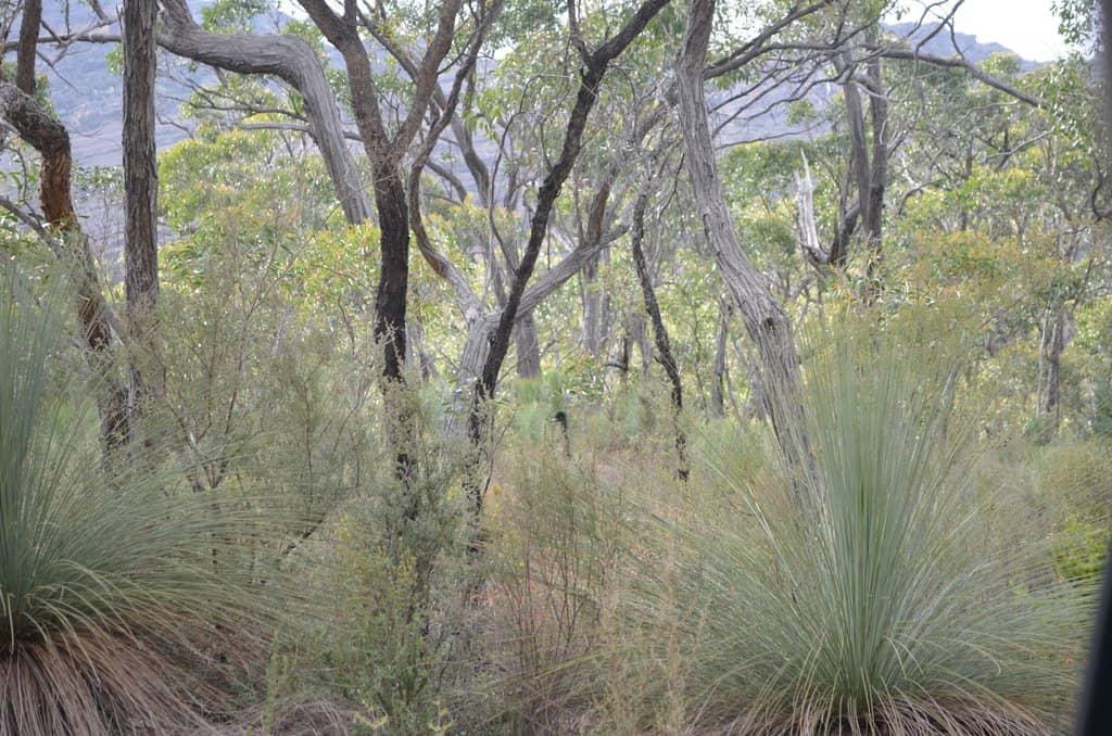 Hollow Mountain Loop