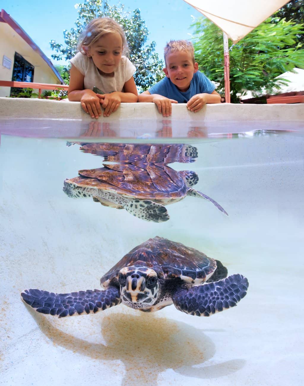 Native Flora and Fauna