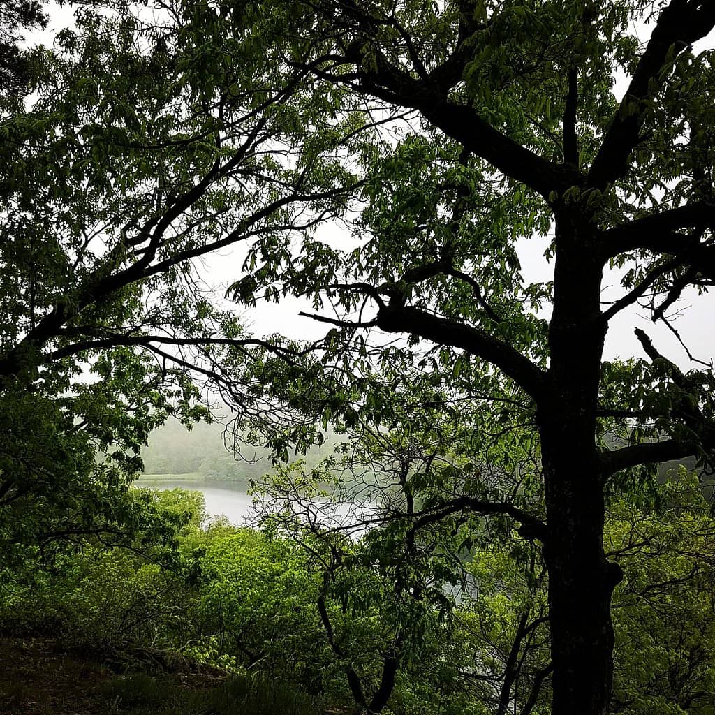 Lost Canyon Trail