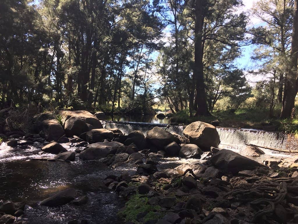 Bushwalking Trails