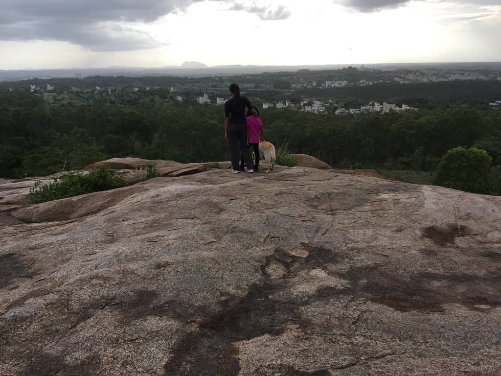 Peaceful Nature Escape