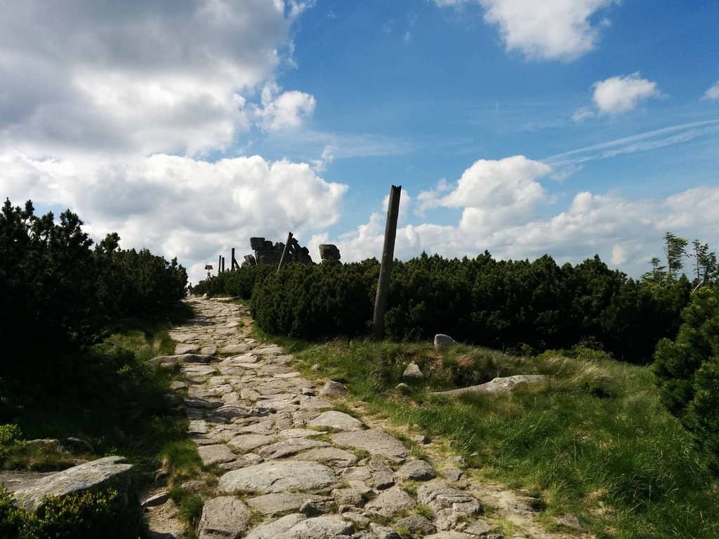Vertical photo