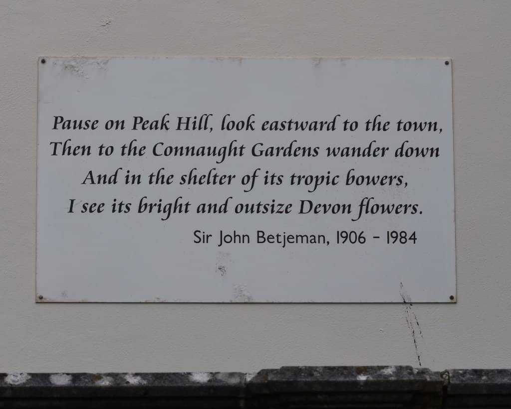 Tropical Palm Collection