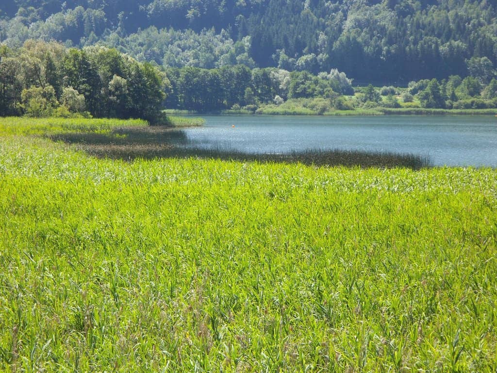 Scenic Walking Trails