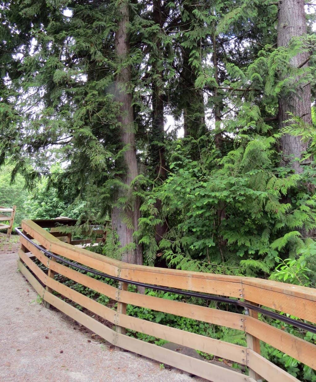 Viewing Platforms