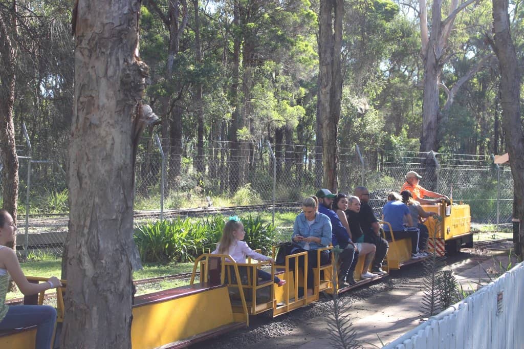 Interactive Exhibits