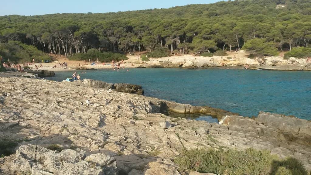 Pebbly Coastline
