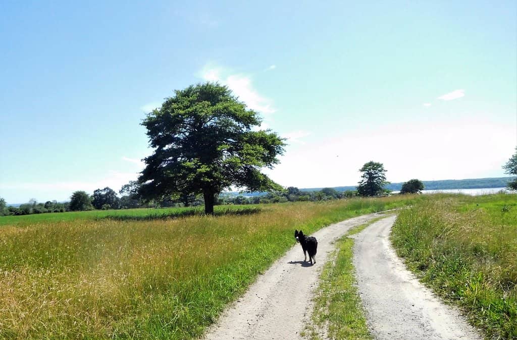 Historic Farm Landscape