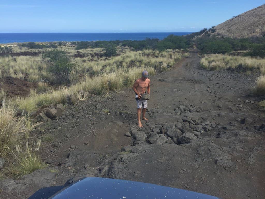 Hawaiian Monk Seals