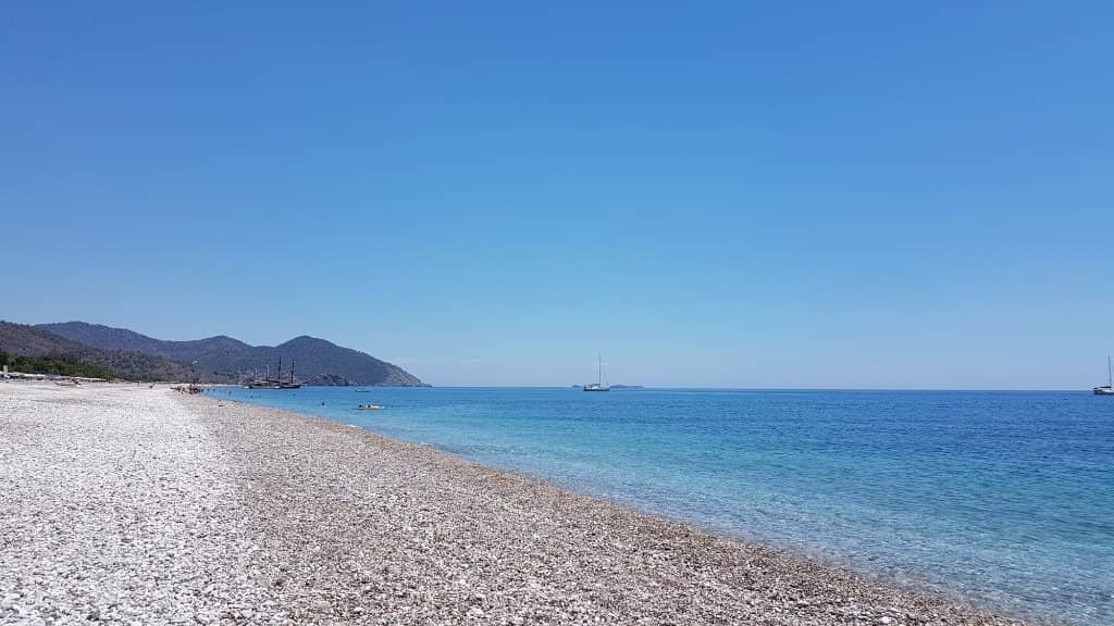 Loggerhead Sea Turtle Nests
