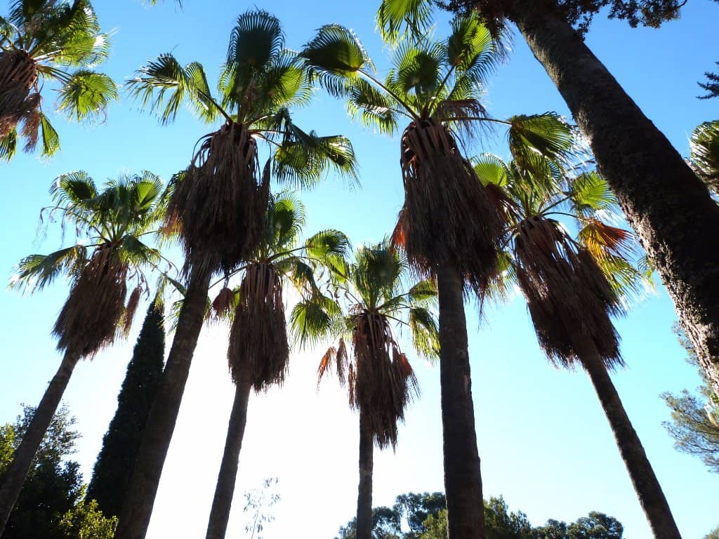 Arid & Subtropical Zones