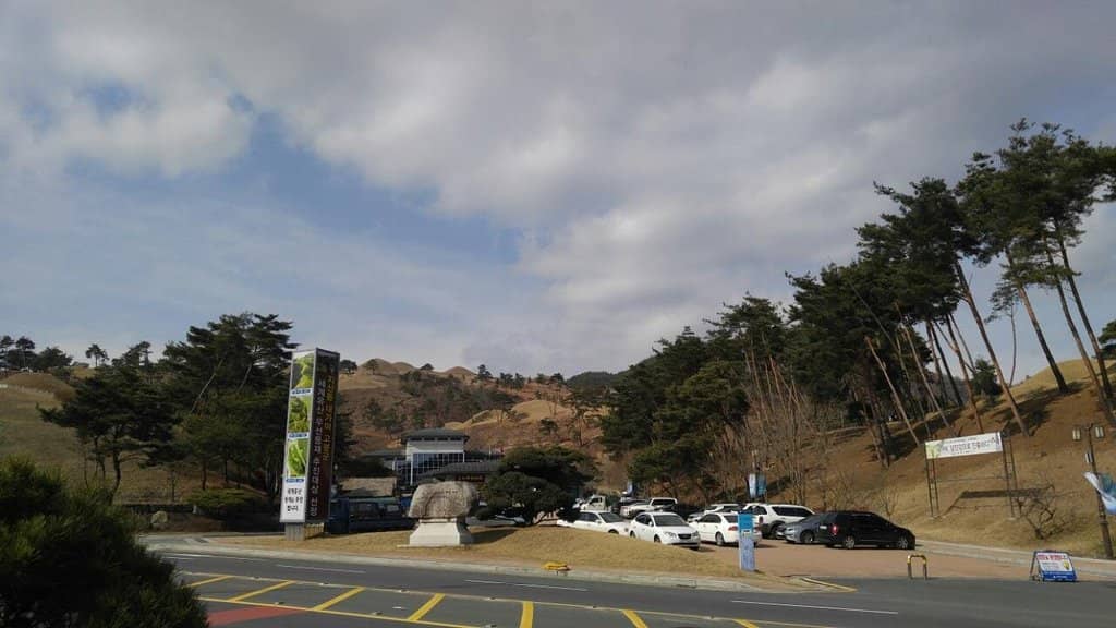 Family-Friendly Exploration