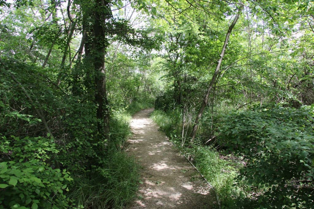 Visitor Centre & Introduction