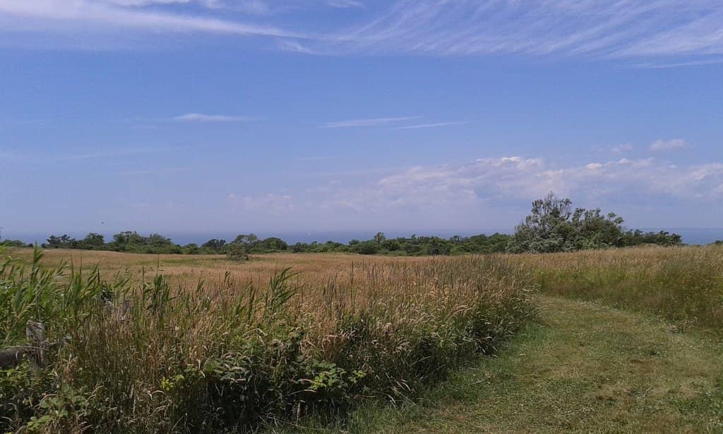 Maritime History Exhibits