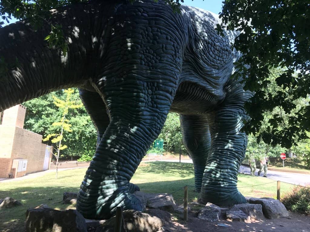 Picnic and Play Area