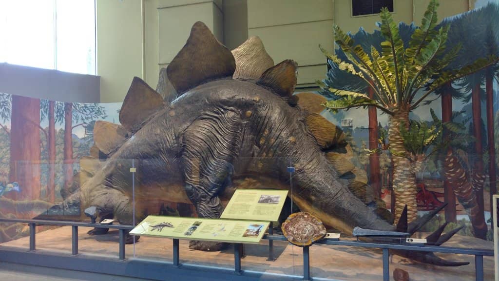 Interactive Science Exhibits