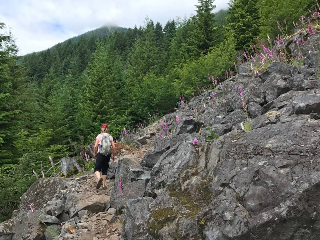 Kamikaze Trail