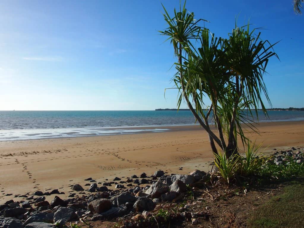 Global Foodie Paradise