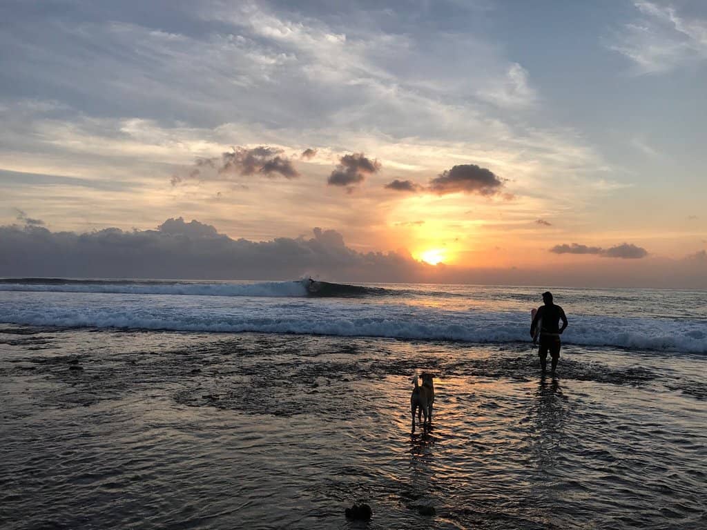 Surf Culture Vibe