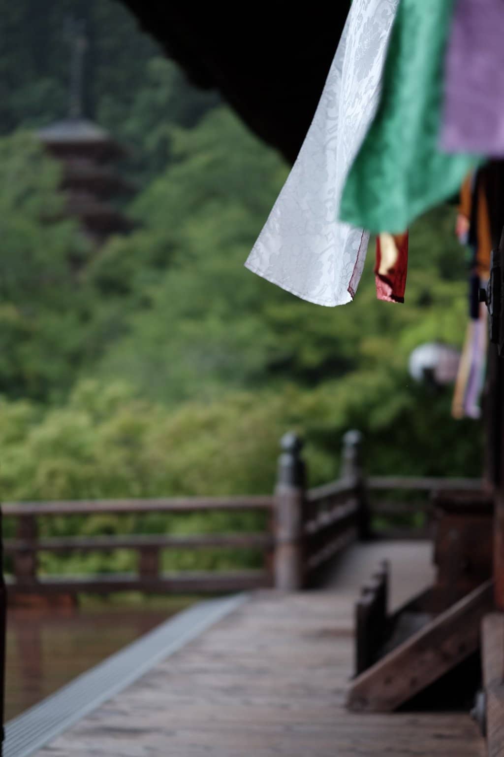 Serene Bamboo Grove