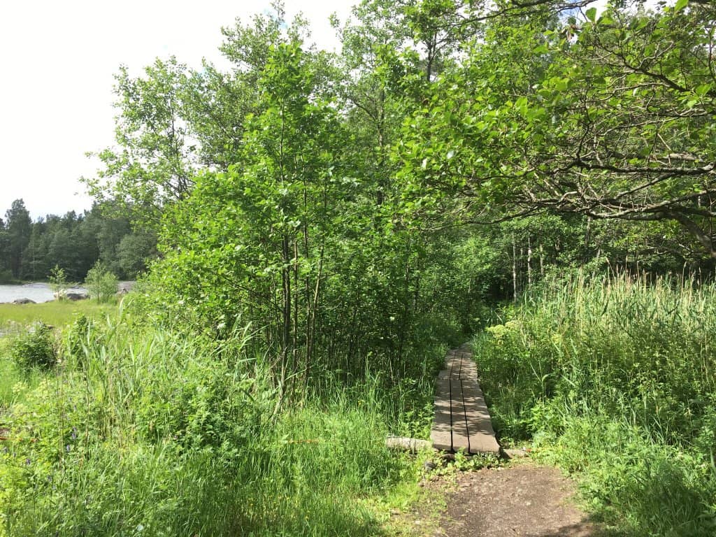 Diverse Flora and Fauna