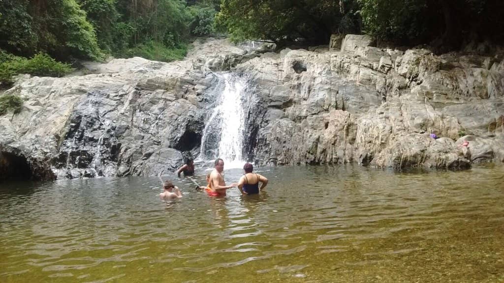 Jungle Trek
