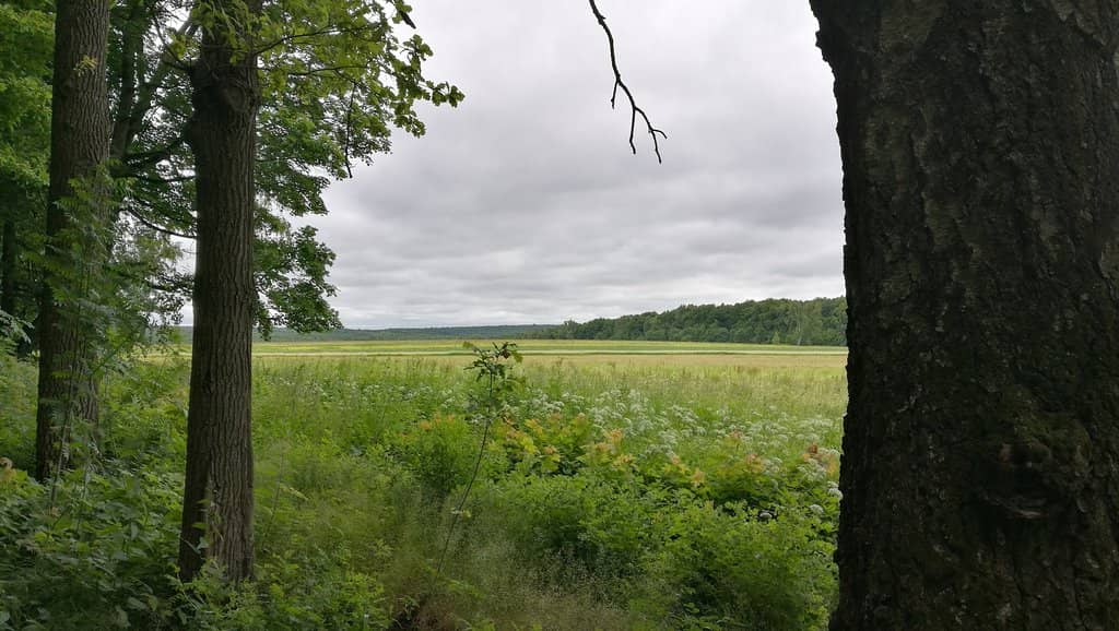 Leo Tolstoy's House Museum