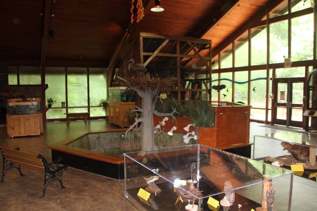 Nature Center & Aviary