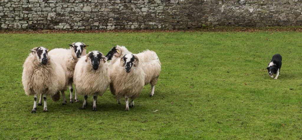 Medieval Lost Town Ruins