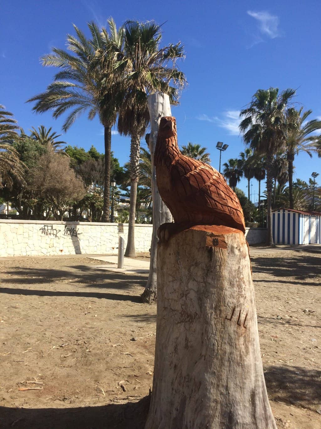 Palm-Lined Beachfront