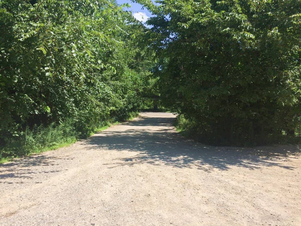 Cycling Paths