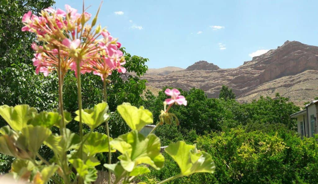 Traditional Cafes & Restaurants