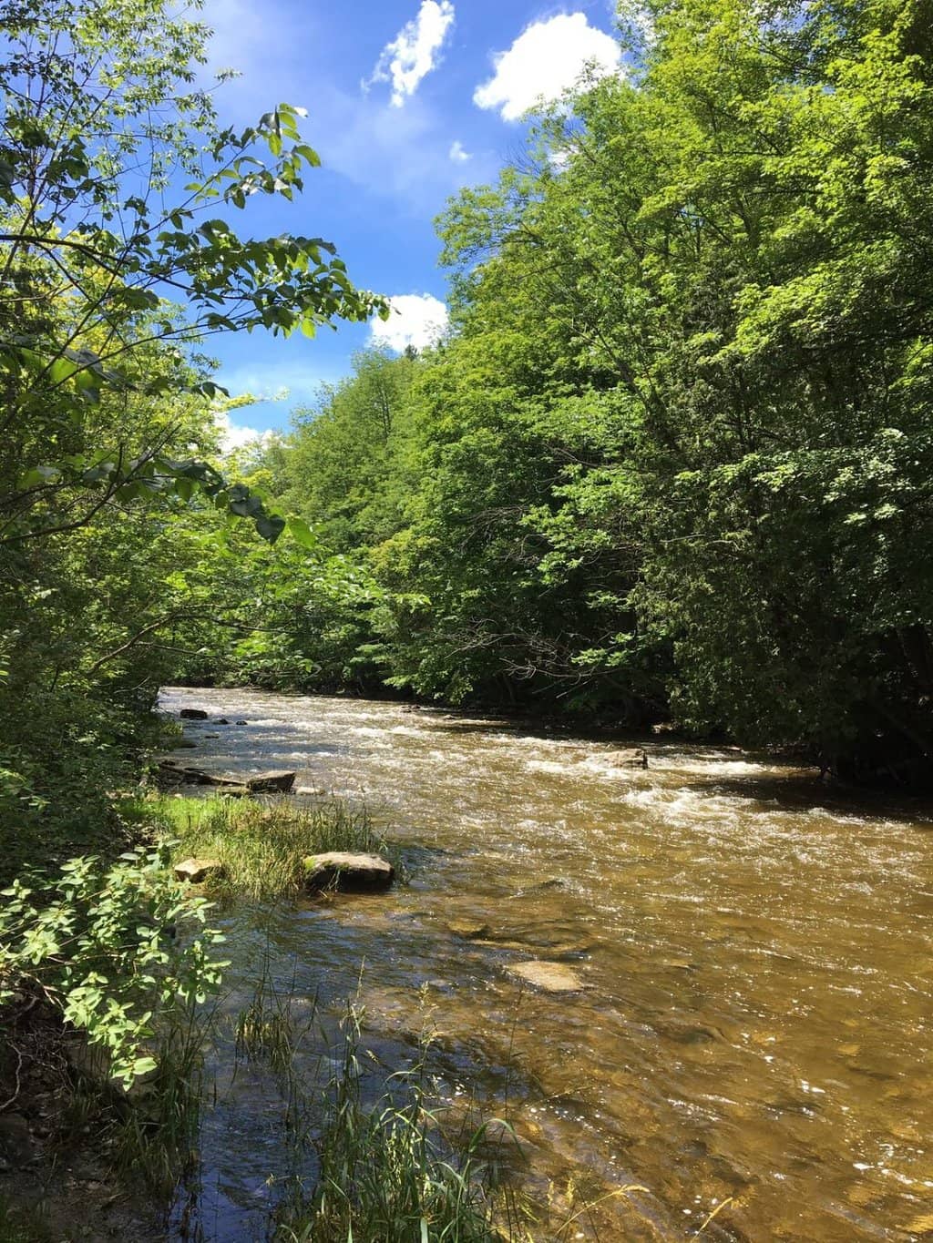 Credit River Views