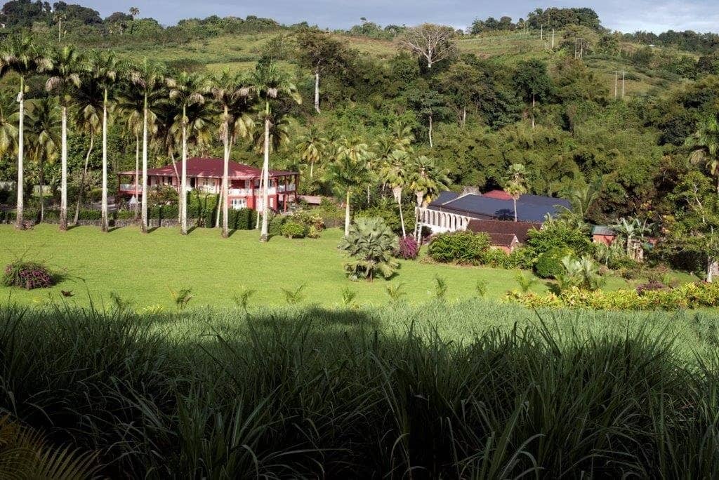 Enchanting Gardens