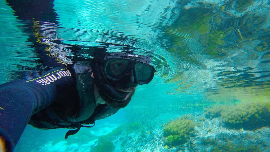 Abundant Aquatic Life