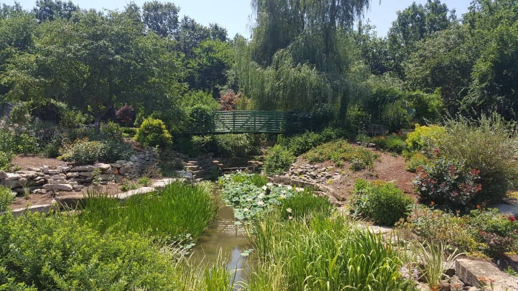 Terra Luna Immersive Experience