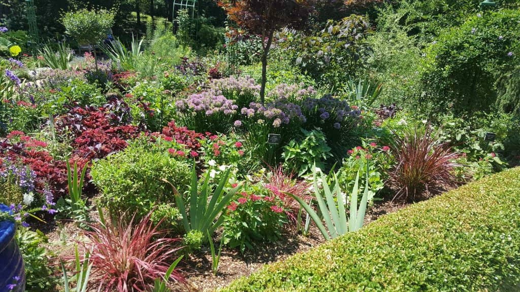 Butterfly Garden