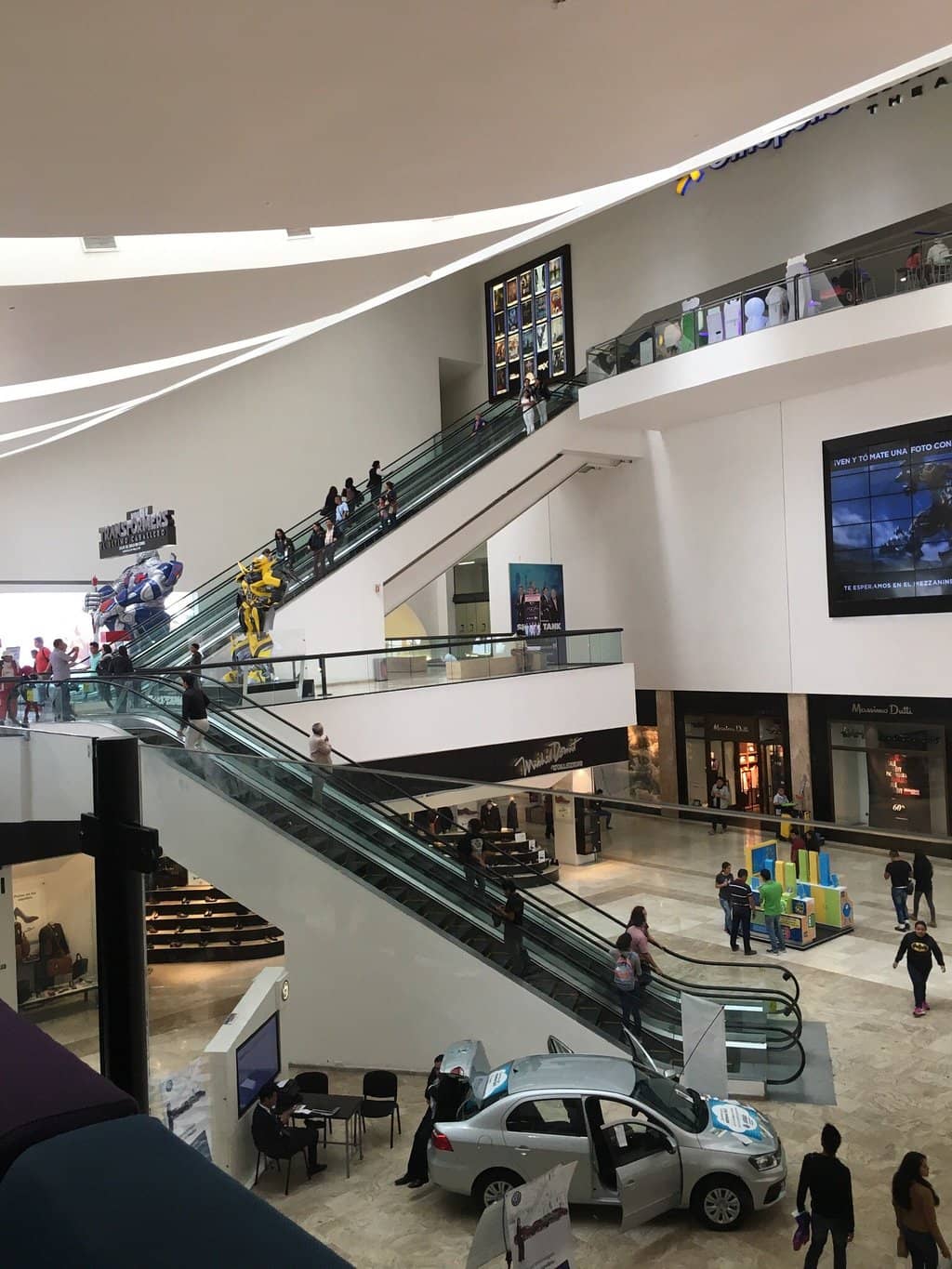 Driver's License Renewal