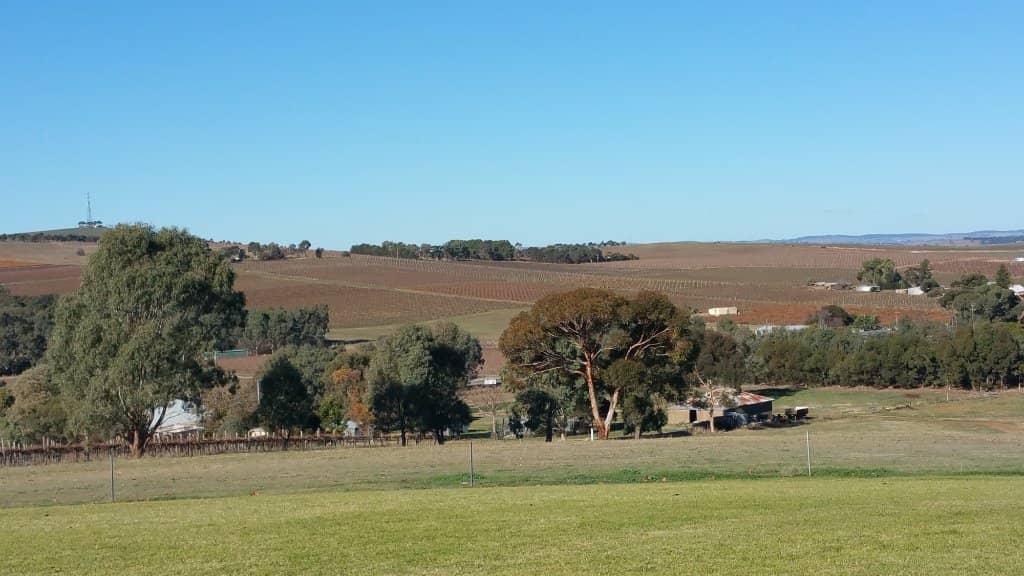 Clare Valley Views