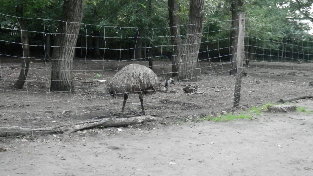 Madagascar Pavilion