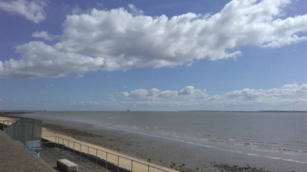 Estuary Views