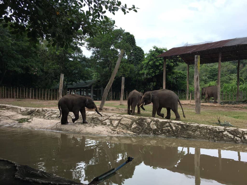 Scenic Views & Natural Ambiance